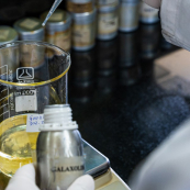 Full-Stack Developer